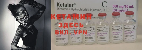 индика Каменногорск