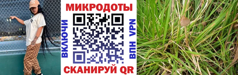 Псилоцибиновые грибы GOLDEN TEACHER  Юрьевец 