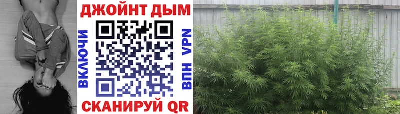 Шишки марихуана VHQ  цены наркотик  Юрьевец 